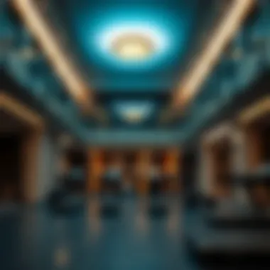 Magnificent Exploring the Fitness Landscape: Gym Options in Liwan Magnificent Exploring the Fitness Landscape: Gym Options in Liwan