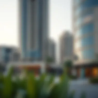 Upcoming development projects in Amer Oud Metha illustrating future prospects