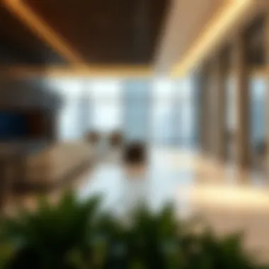 Advice for expatriates on managing residency renewal costs