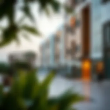 Notable Exploring 1BHK Properties in Silicon Oasis Notable Exploring 1BHK Properties in Silicon Oasis