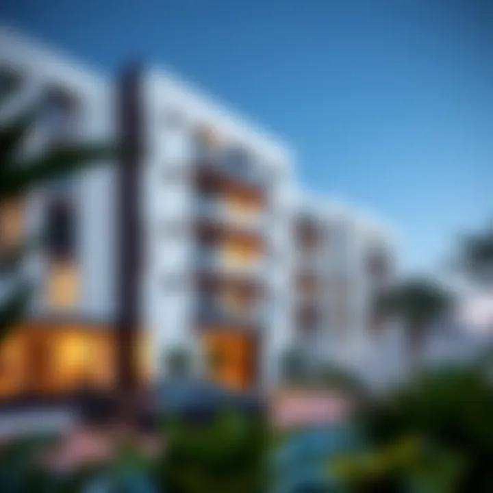 Exploring 1BHK Properties in Silicon Oasis Summary