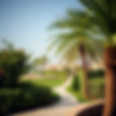 Lush greenery surrounding the beach area