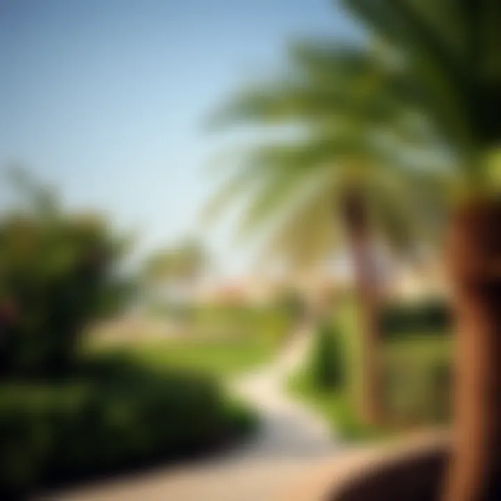 Lush greenery surrounding the beach area