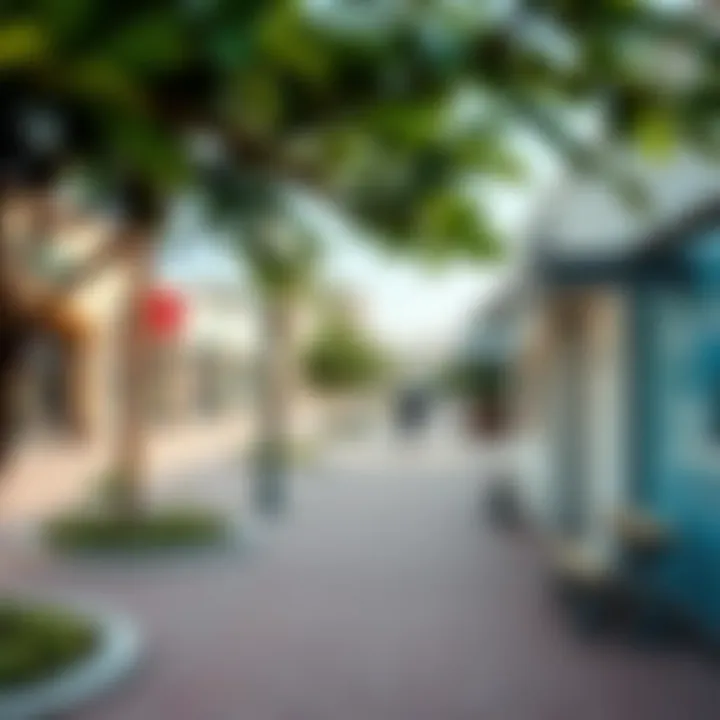 Local amenities in Nad Al Hamar including parks and shops