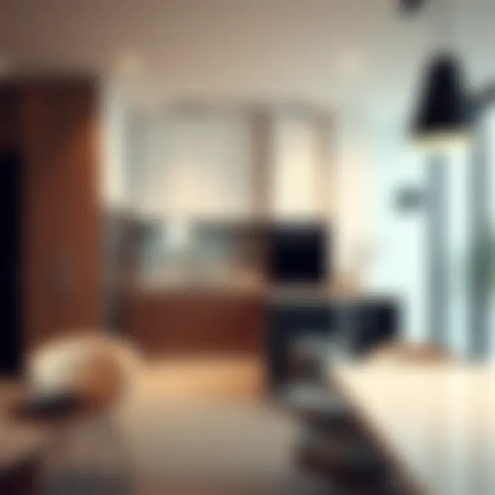 Contemporary Kitchen in Rental Flat Kitchen with contemporary design in rental flat