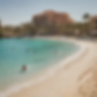 Visitors engaging in various recreational activities on the beach