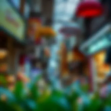 Shops showcasing diverse products in Meena Bazaar