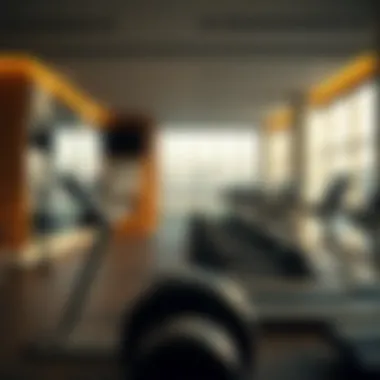Exploring the Fitness Landscape: Gym Options in Liwan Summary
