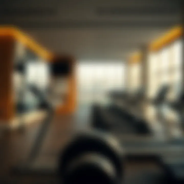 Exploring the Fitness Landscape: Gym Options in Liwan Summary