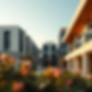 Modern architecture in Damac Hills