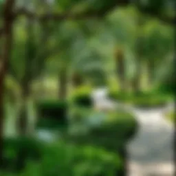 Lush green park in Dubai with serene walking paths