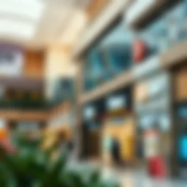 An array of diverse retail stores within Hamriya Shopping Center