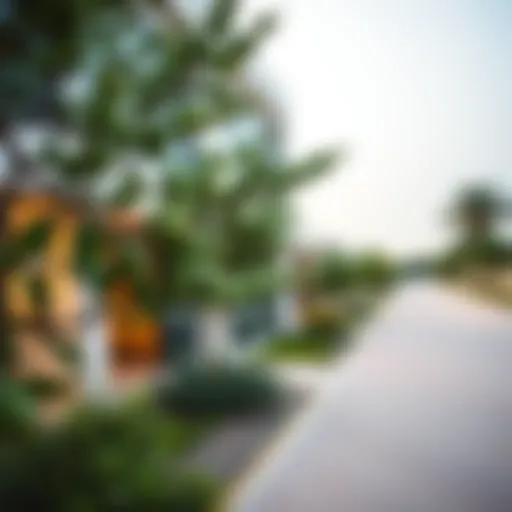 Mulberry in Dubai Hills: An In-Depth Exploration Introduction
