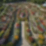 Aerial view of Miracle Garden showcasing vibrant flower displays