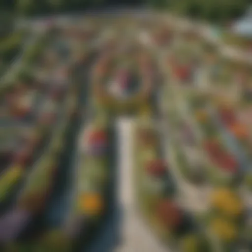 Aerial view of Miracle Garden showcasing vibrant flower displays