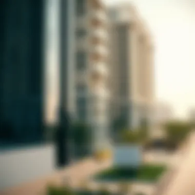 Navigating the 1 BHK Flat Market in Dubai Summary