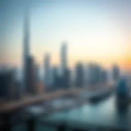 Dubai skyline with visa information overlay