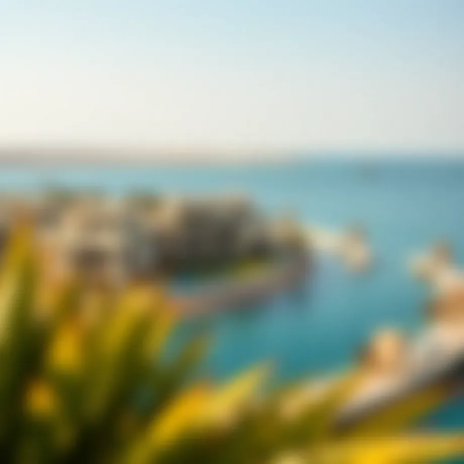 Aerial view of Sadiyaat Island showcasing luxury villas