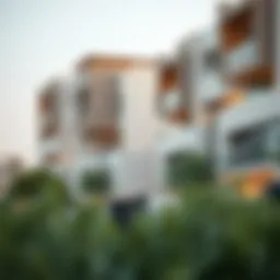 Architectural view of a modern UAE residential community