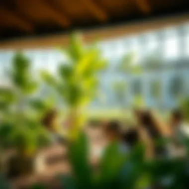 Community engagement activities in the Green Community