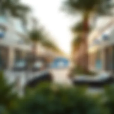 Luxurious amenities within Alain Park highlighting recreational facilities and design.