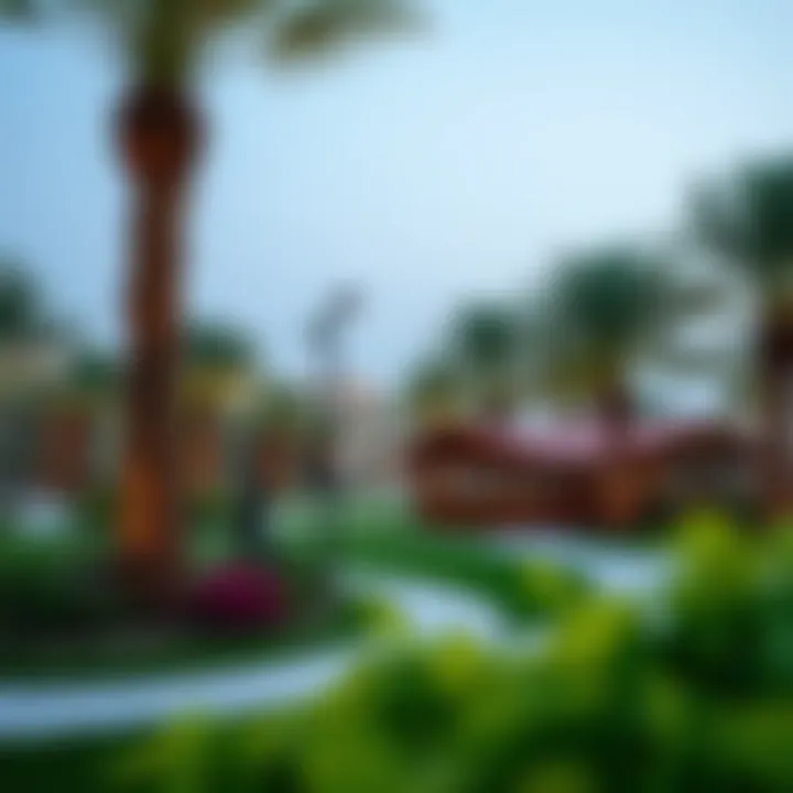 Community park in The Valley Dubai promoting outdoor lifestyle