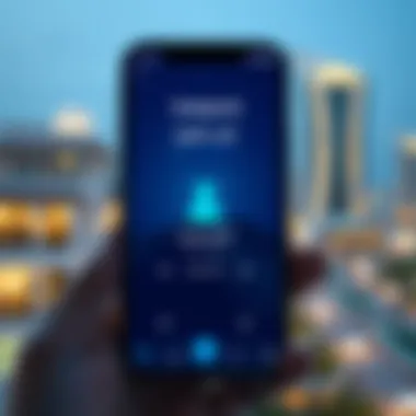 Visualization of the Emirates ID application interface