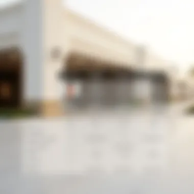 Comparison chart of Emirates ID features and traditional IDs