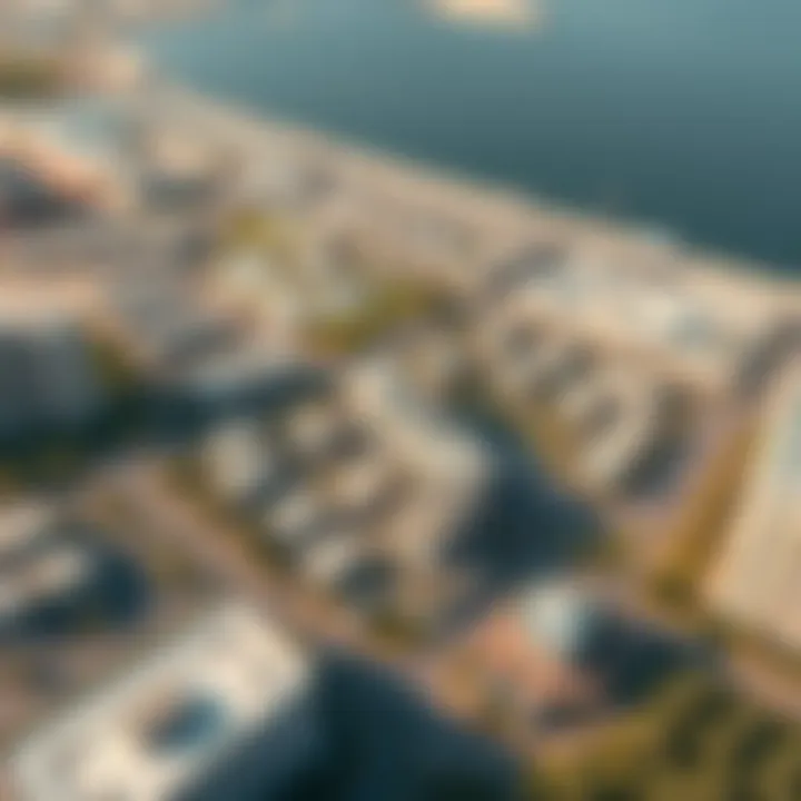 Aerial view showcasing the layout of Silicon Oasis