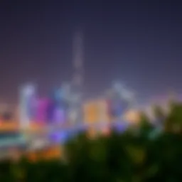 Vibrant skyline of Dubai representing expatriate diversity