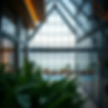 Overview of eligibility criteria for expatriates seeking a wife visa